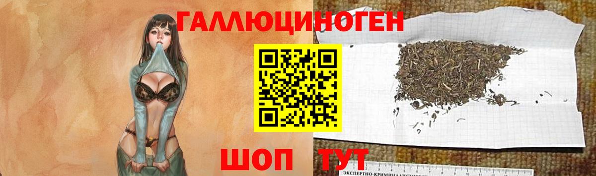 Псилоцибиновые грибы Psilocybine cubensis  Вход с VPN  Вышний Волочёк 