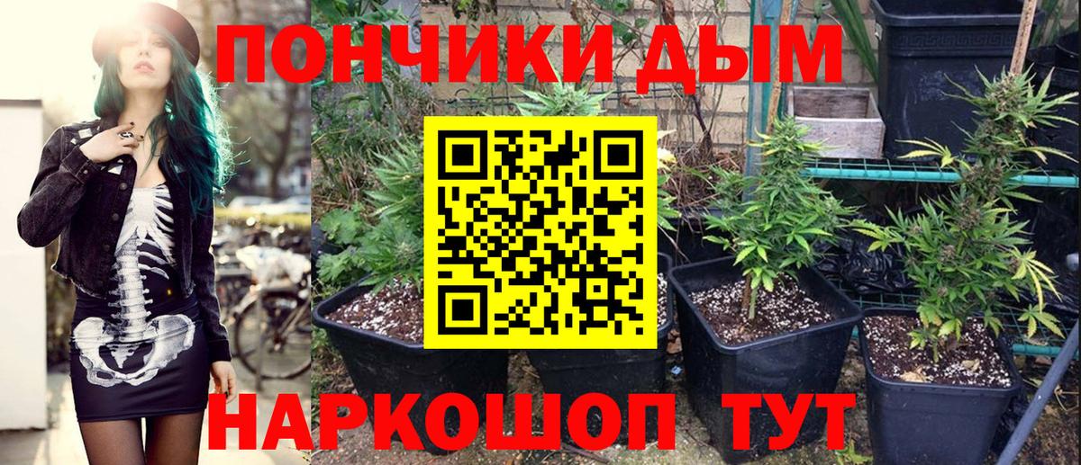 Бошки марихуана ГИДРОПОН Вышний Волочёк